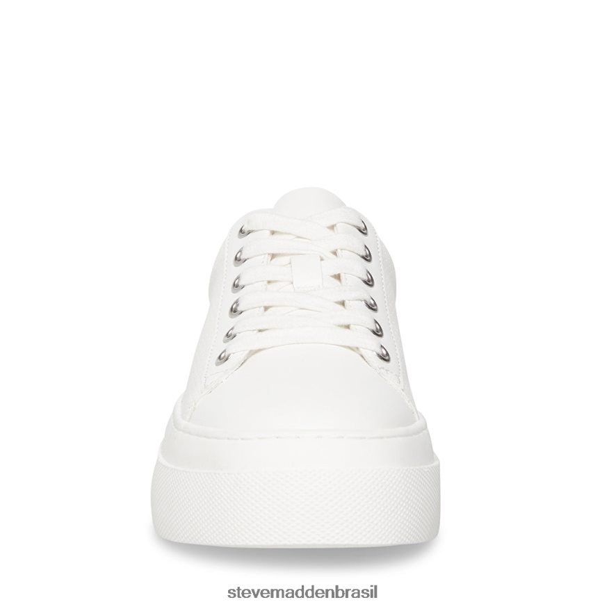 calçados branco mulheres Steve Madden estúdio ZTFPZH346