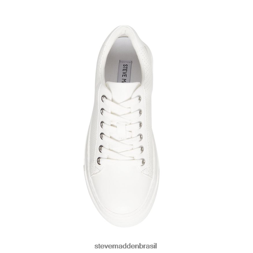 calçados branco mulheres Steve Madden estúdio ZTFPZH346