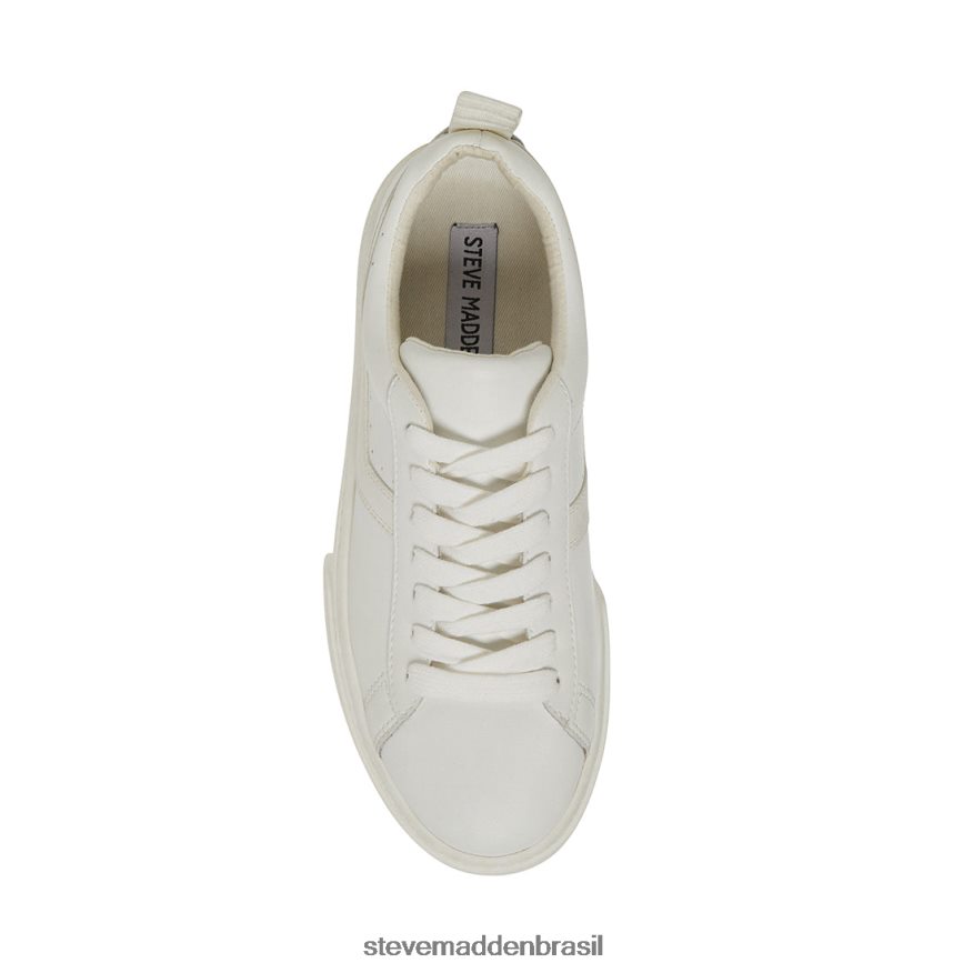 calçados couro branco mulheres Steve Madden Rorri ZTFPZH317